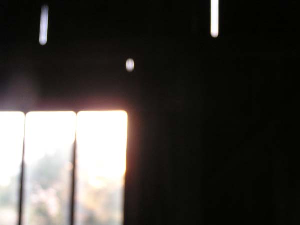 P1010031