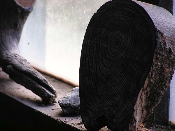 P1010193