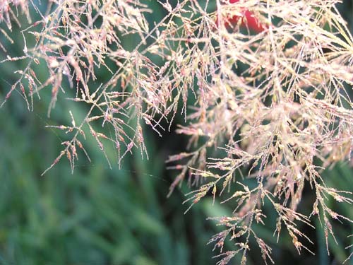 P1010012