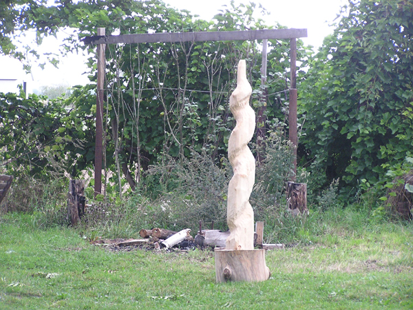 P1010065