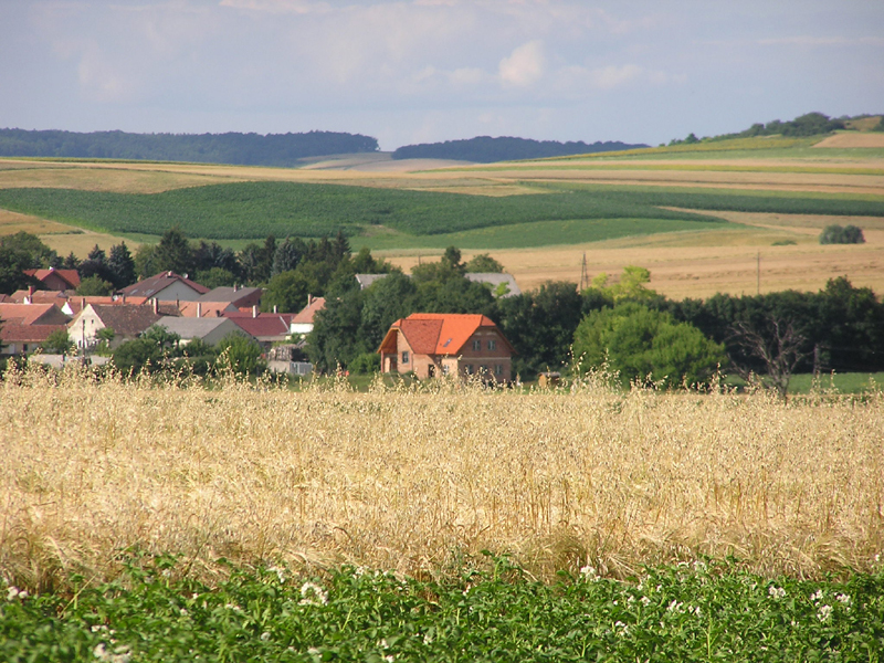 P1010069
