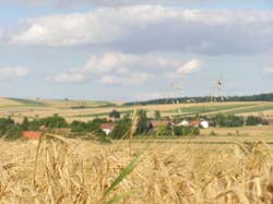 P1010067