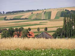 P1010068