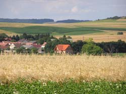 P1010069