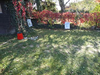 DSC03487
