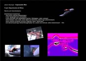 Experimente mit Rhino2