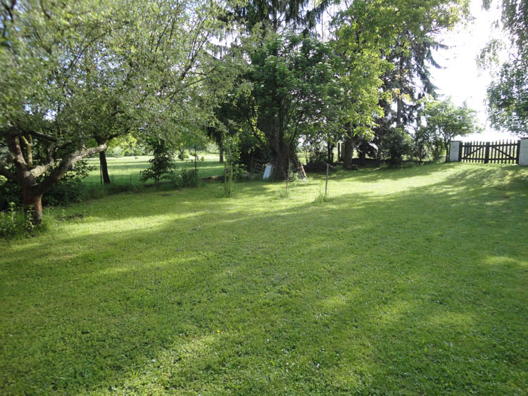 DSC09381
