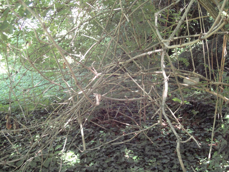 DSC09497