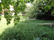 DSC09416