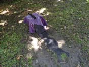DSC09432