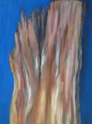 DSC01447