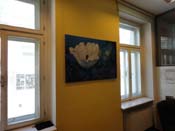 DSC02509